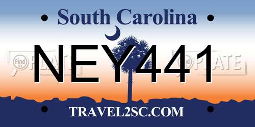 NEY441 South Carolina License Plate