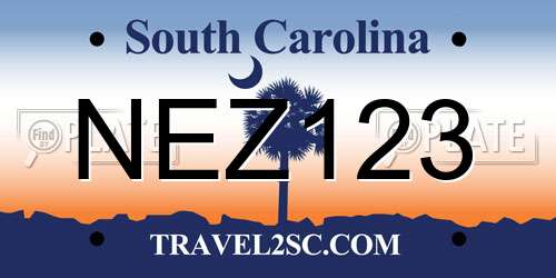 NEZ123 South Carolina License Plate