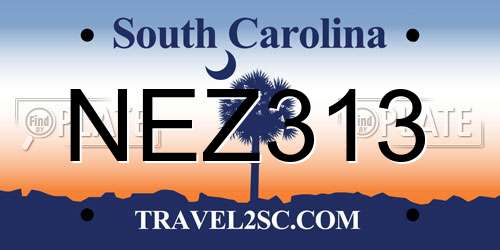 NEZ313 South Carolina License Plate