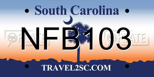 NFB103 South Carolina License Plate