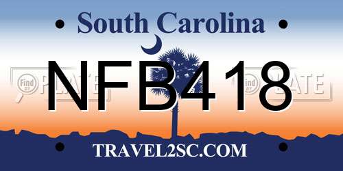 NFB418 South Carolina License Plate
