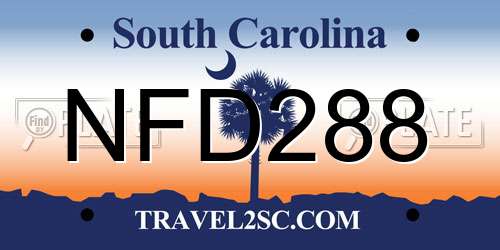 NFD288 South Carolina License Plate