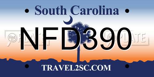 NFD390 South Carolina License Plate