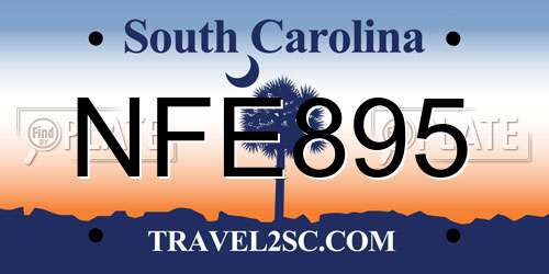 NFE895 South Carolina License Plate