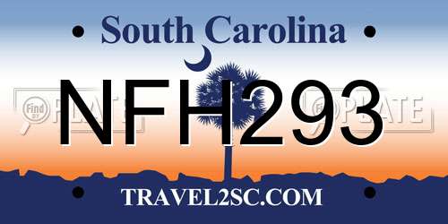 NFH293 South Carolina License Plate