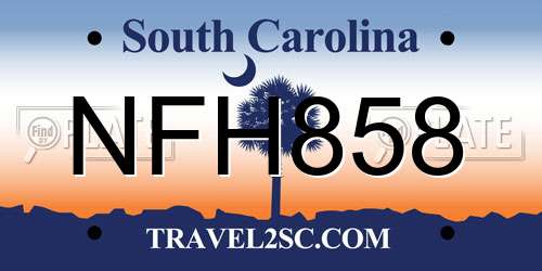 NFH858 South Carolina License Plate