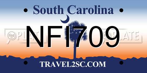 NFI709 South Carolina License Plate