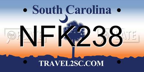 NFK238 South Carolina License Plate