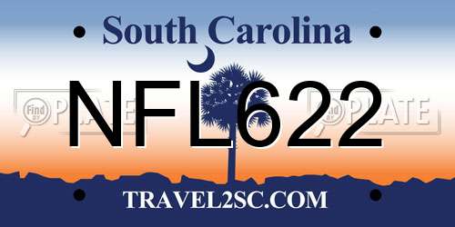 NFL622 South Carolina License Plate