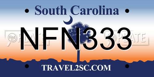 NFN333 South Carolina License Plate