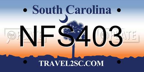 NFS403 South Carolina License Plate
