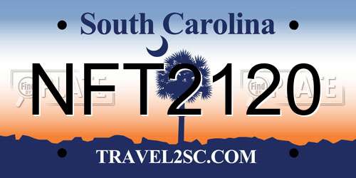 NFT2120 South Carolina License Plate