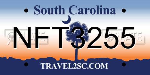 NFT3255 South Carolina License Plate