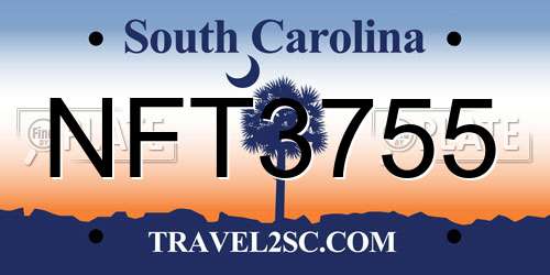 NFT3755 South Carolina License Plate