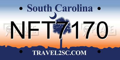 NFT7170 South Carolina License Plate