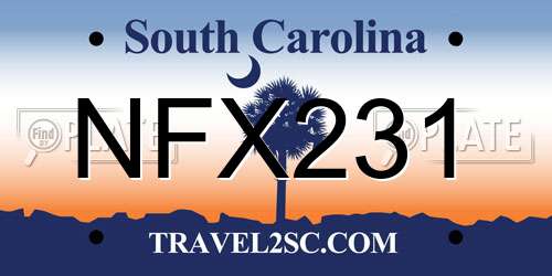 NFX231 South Carolina License Plate