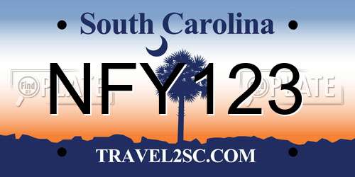 NFY123 South Carolina License Plate
