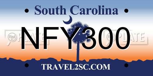 NFY300 South Carolina License Plate