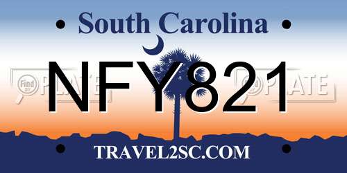 NFY821 South Carolina License Plate