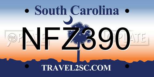 NFZ390 South Carolina License Plate