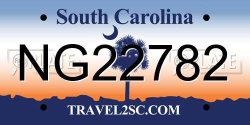 NG22782 South Carolina License Plate