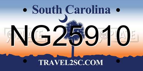 NG25910 South Carolina License Plate