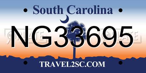 NG33695 South Carolina License Plate