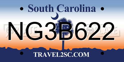 NG3B622 South Carolina License Plate