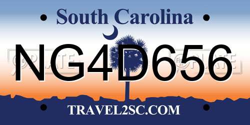 NG4D656 South Carolina License Plate