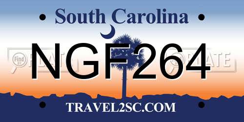 NGF264 South Carolina License Plate