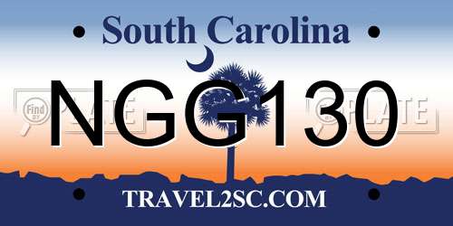 NGG130 South Carolina License Plate
