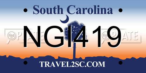 NGI419 South Carolina License Plate