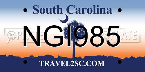 NGI985 South Carolina License Plate