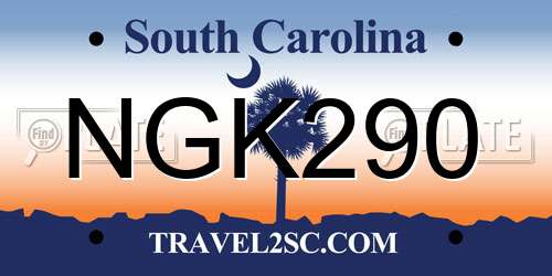 NGK290 South Carolina License Plate