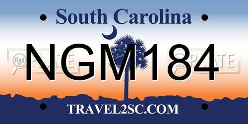 NGM184 South Carolina License Plate