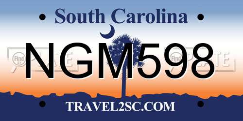 NGM598 South Carolina License Plate