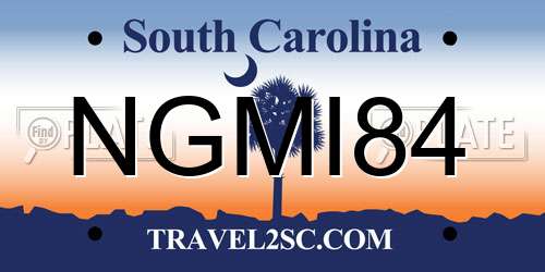 NGMI84 South Carolina License Plate