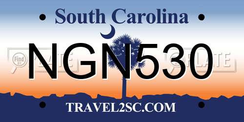 NGN530 South Carolina License Plate