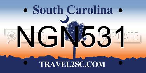 NGN531 South Carolina License Plate