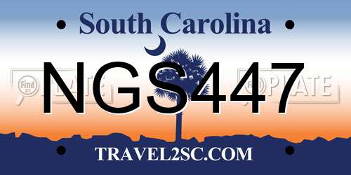 NGS447 South Carolina License Plate