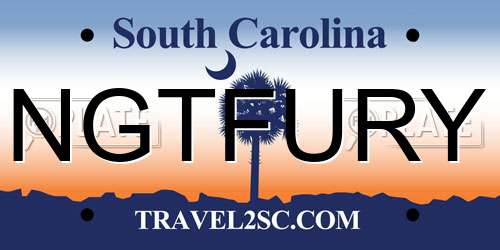NGTFURY South Carolina License Plate