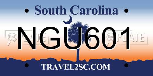 NGU601 South Carolina License Plate