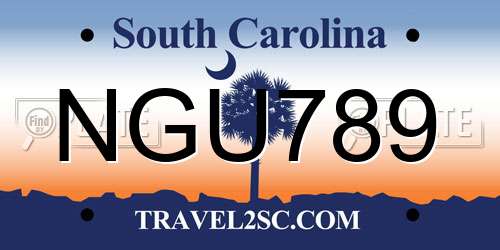 NGU789 South Carolina License Plate