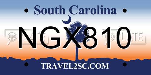 NGX810 South Carolina License Plate