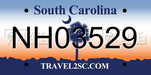 NH03529 South Carolina License Plate
