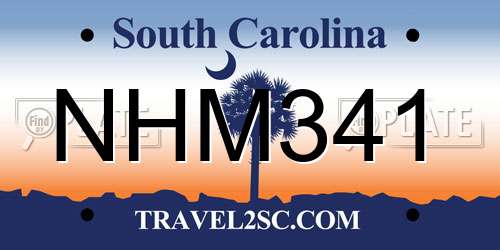 NHM341 South Carolina License Plate