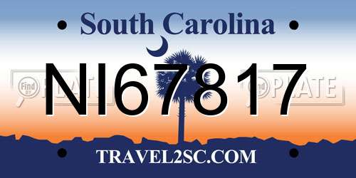 NI67817 South Carolina License Plate
