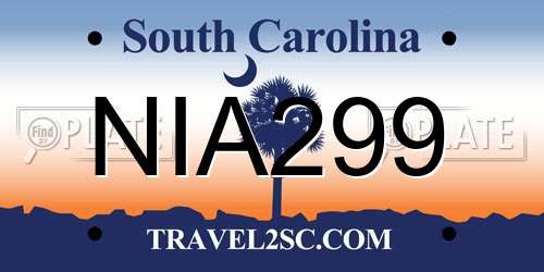 NIA299 South Carolina License Plate