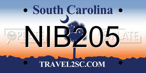 NIB205 South Carolina License Plate
