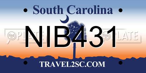 NIB431 South Carolina License Plate